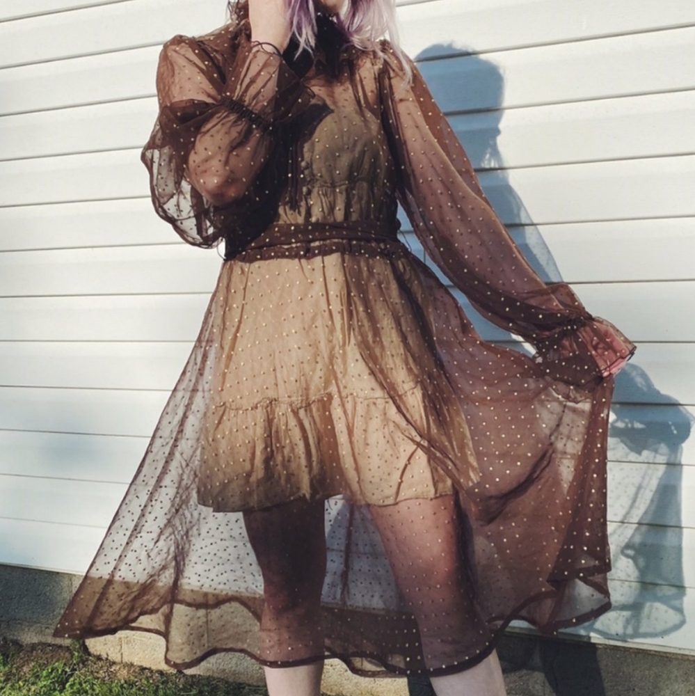 Vintage Sheer Polka Dot Dress - Picture 3 of 6